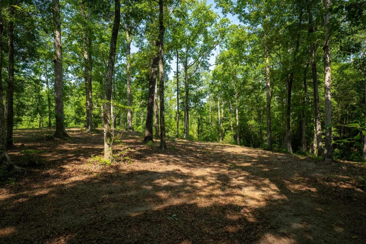 Tbd Francis Marion Dr. Photo 10