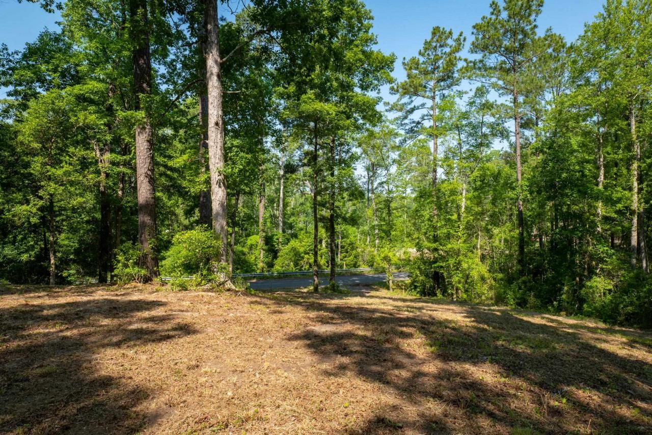 Tbd Francis Marion Dr. Photo 11