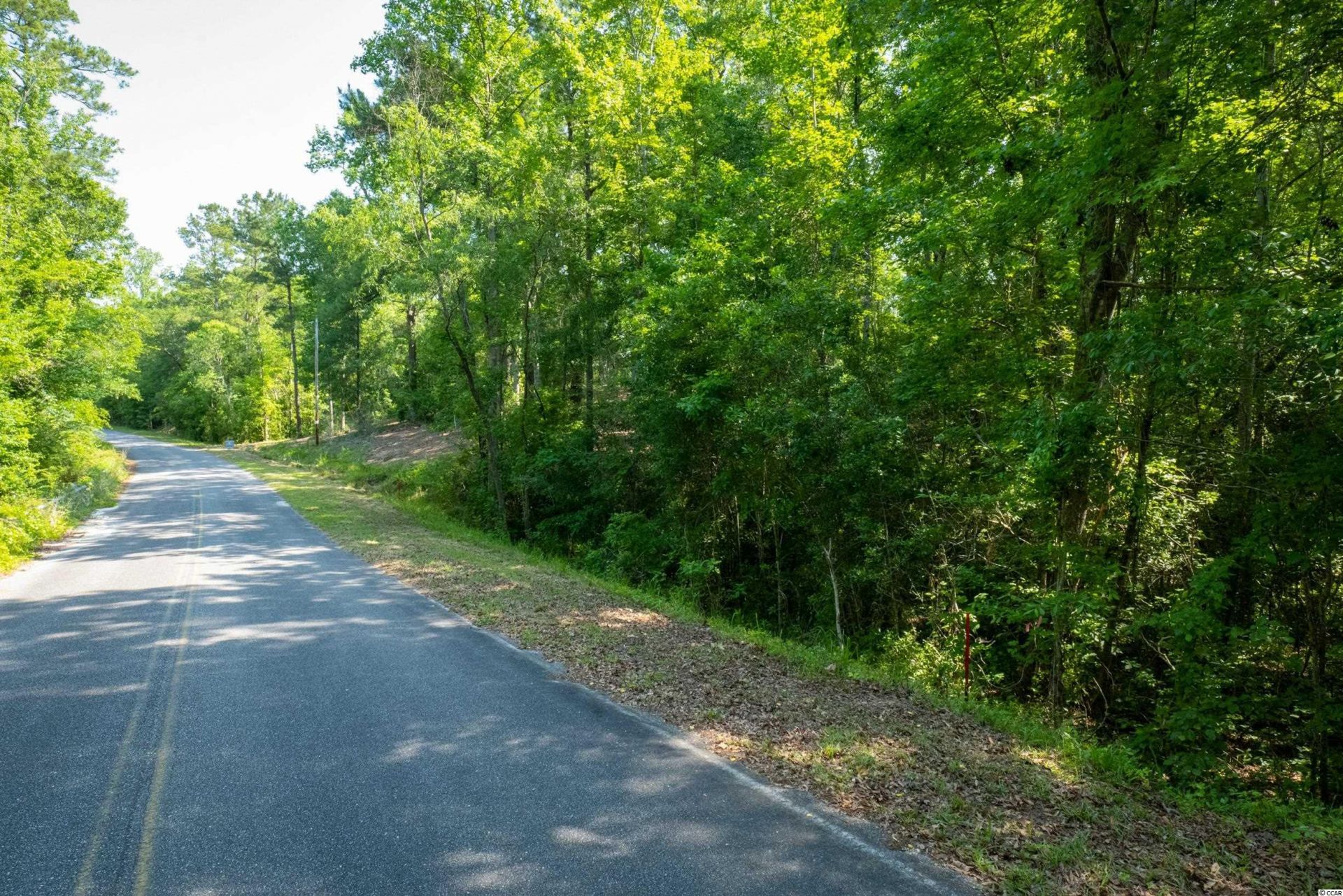 Tbd Francis Marion Dr. Photo 12