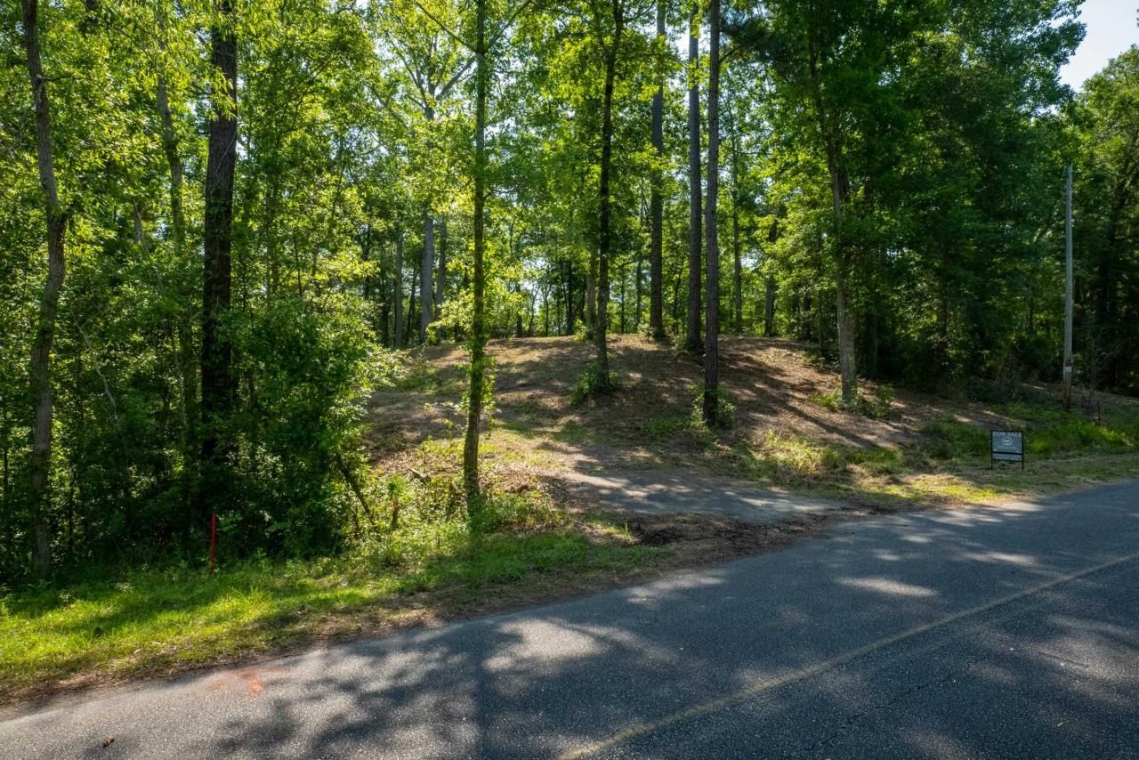 Tbd Francis Marion Dr. Photo 13