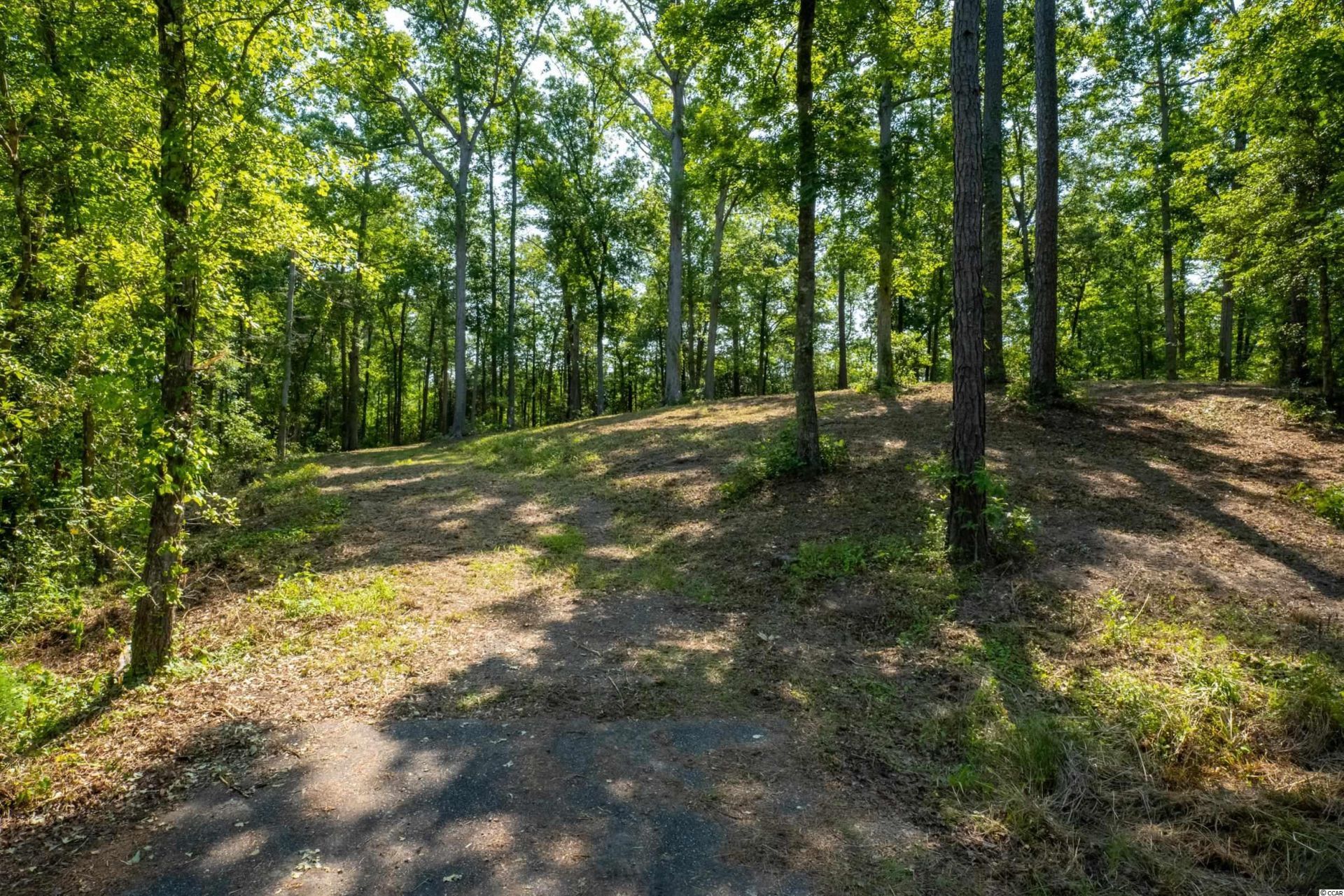 Tbd Francis Marion Dr. Photo 14