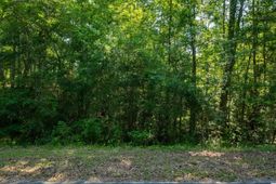 Tbd Francis Marion Dr. photo 4