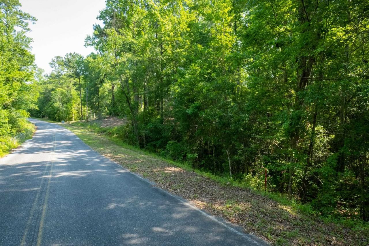 Tbd Francis Marion Dr. Photo 5