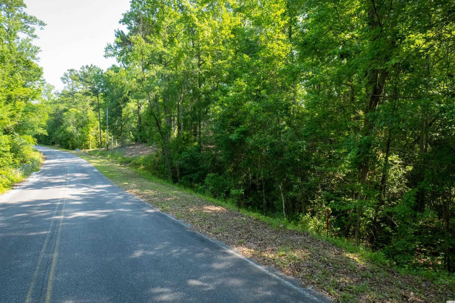 Tbd Francis Marion Dr. Photo 5