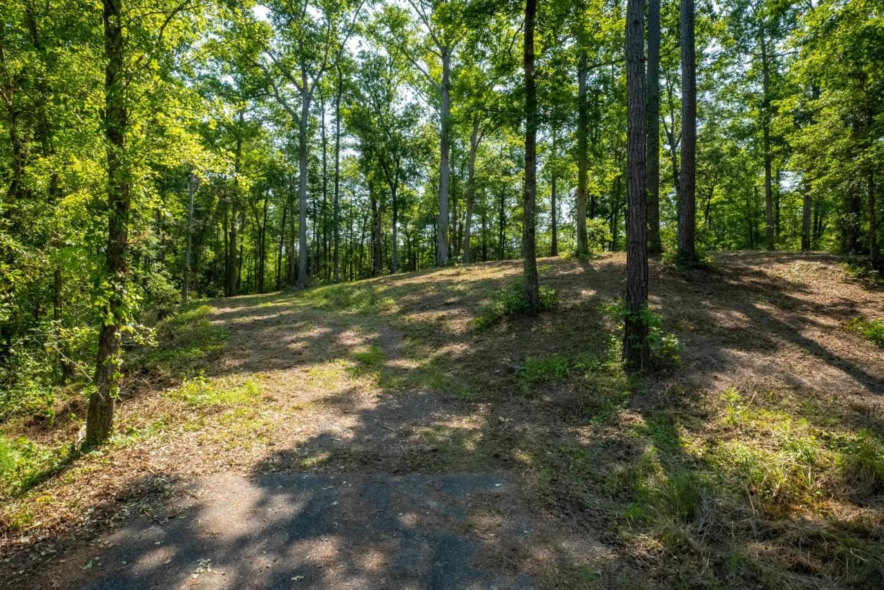 Tbd Francis Marion Dr. Photo 7