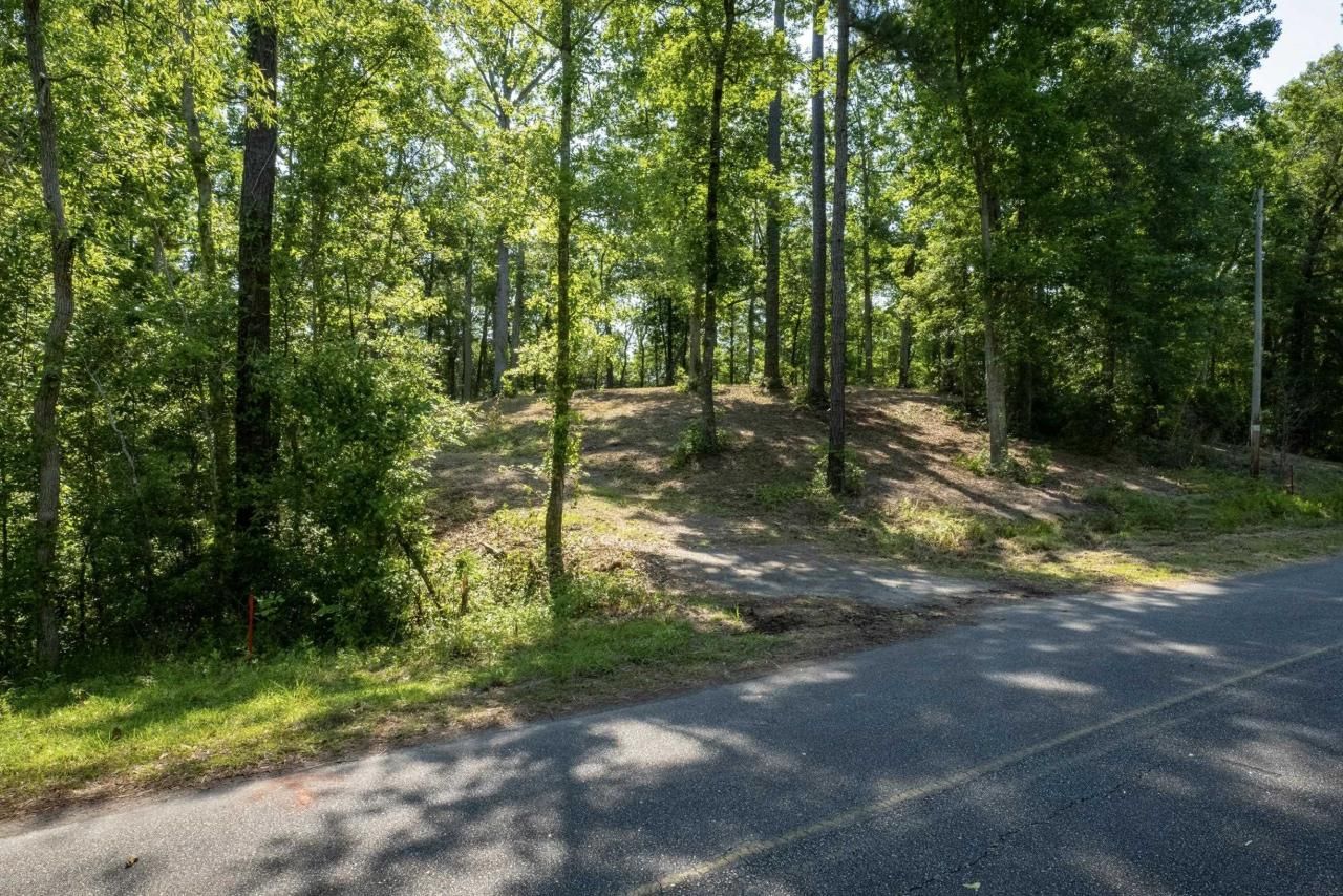 Tbd Francis Marion Dr. Photo 8