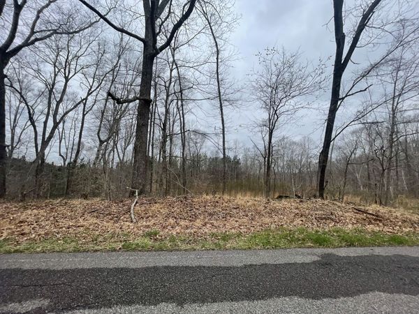 1 Forest Trl, Bumpus Mills, TN 37028