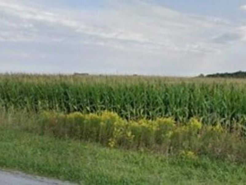 465 E Breese Road, Lima, OH 45806 Photo 3