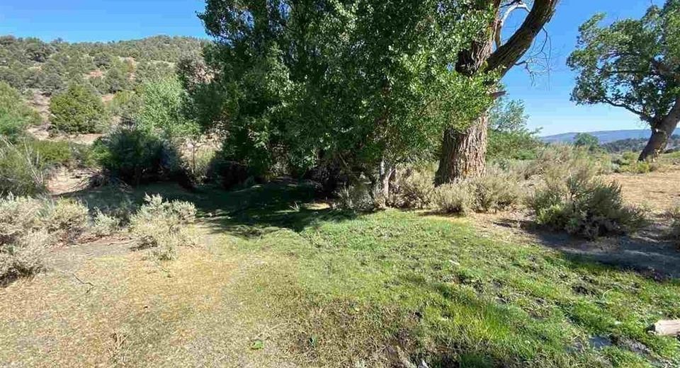 Virginia City Ranch, Reno, NV 89521 Photo