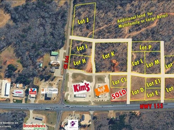 20175 Hwy 155, Flint, TX 75762