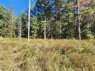 0 Ordie Road, Saint George, SC 29477