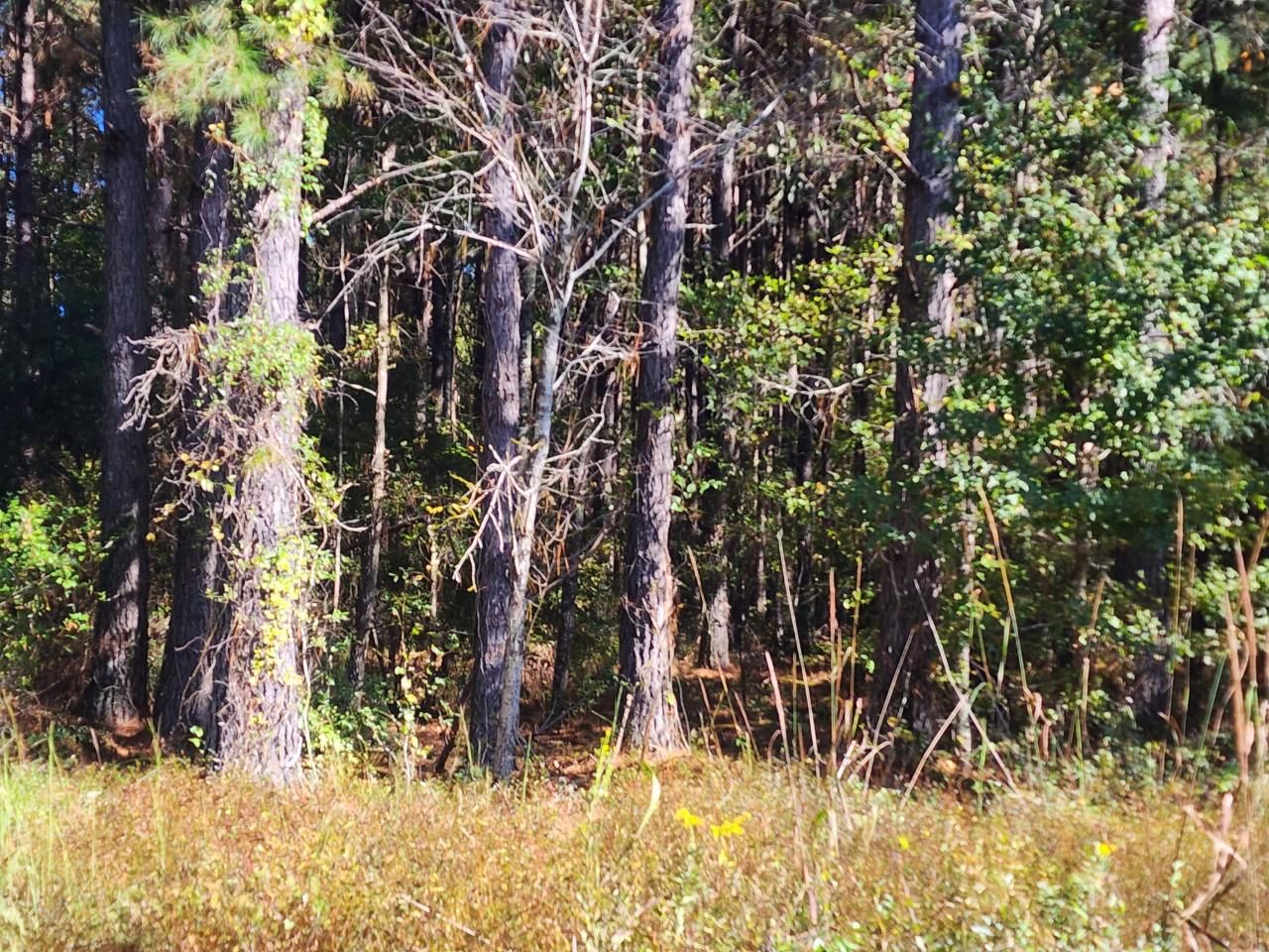 0 Ordie Road Photo 4