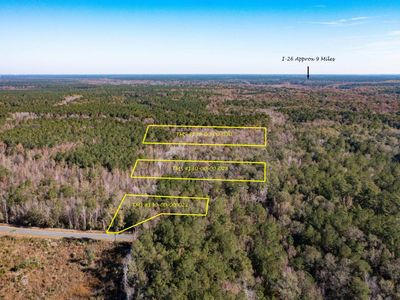 1 Dennis Britt Road, Saint George, SC 29477