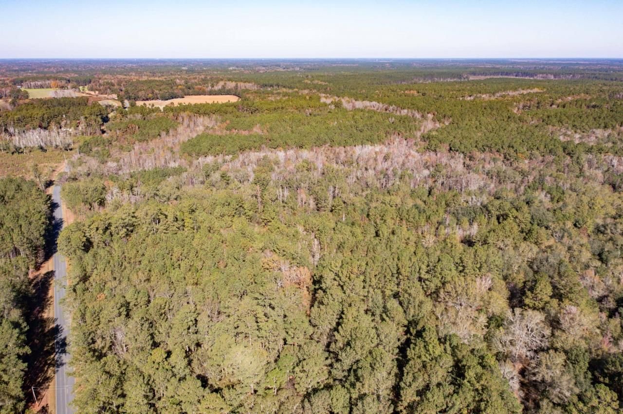 1 Dennis Britt Road Photo 10