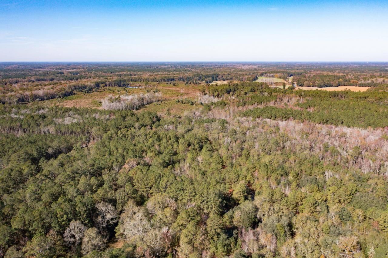 1 Dennis Britt Road Photo 11