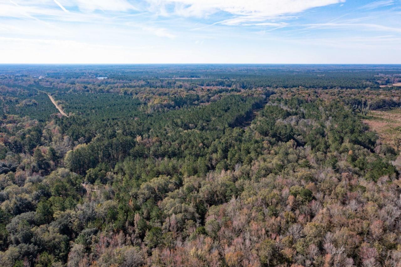 1 Dennis Britt Road Photo 12