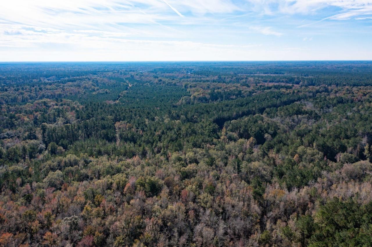 1 Dennis Britt Road Photo 13