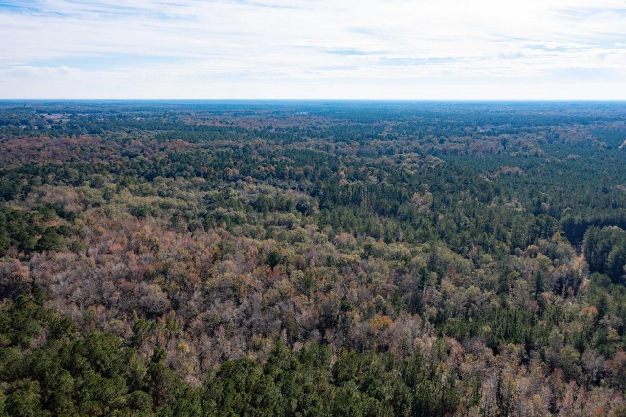 1 Dennis Britt Road Photo 14