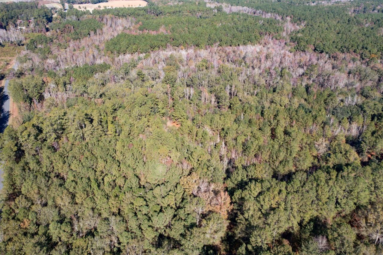 1 Dennis Britt Road Photo 16