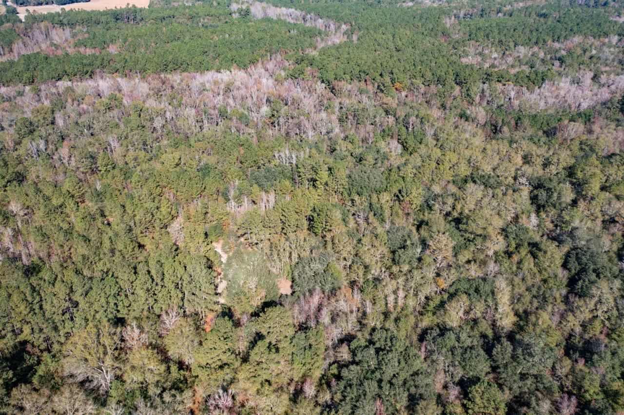 1 Dennis Britt Road Photo 18