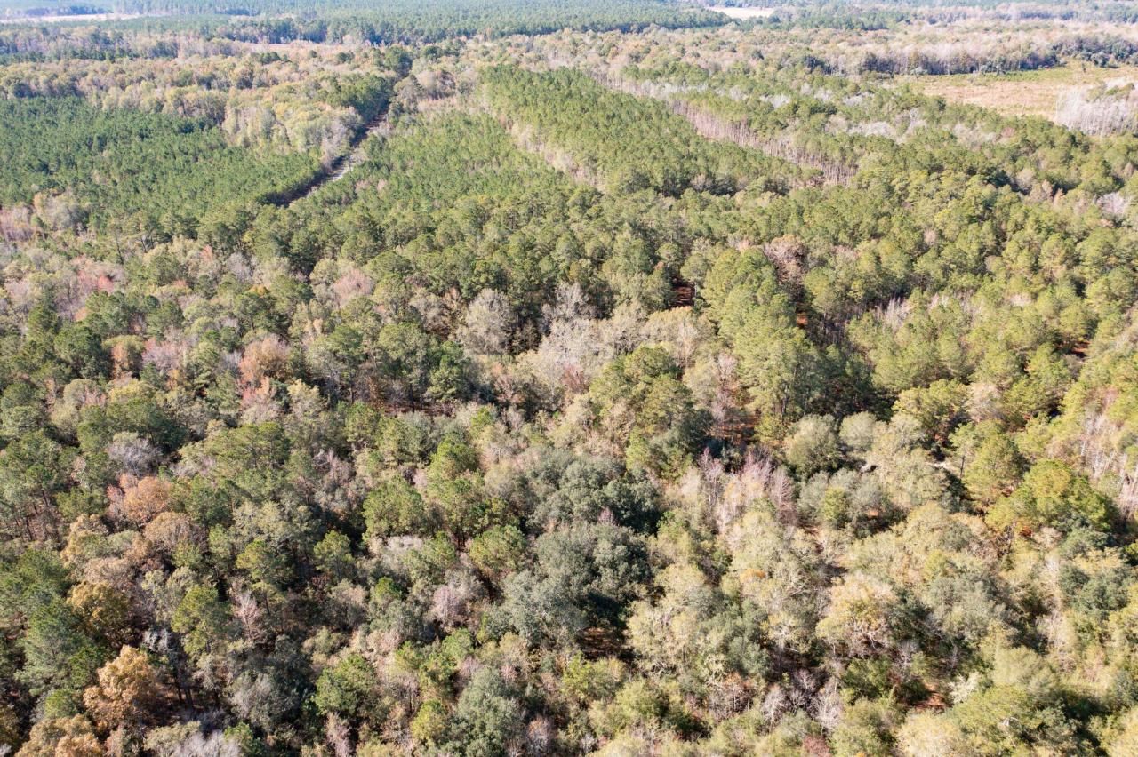 1 Dennis Britt Road Photo 20