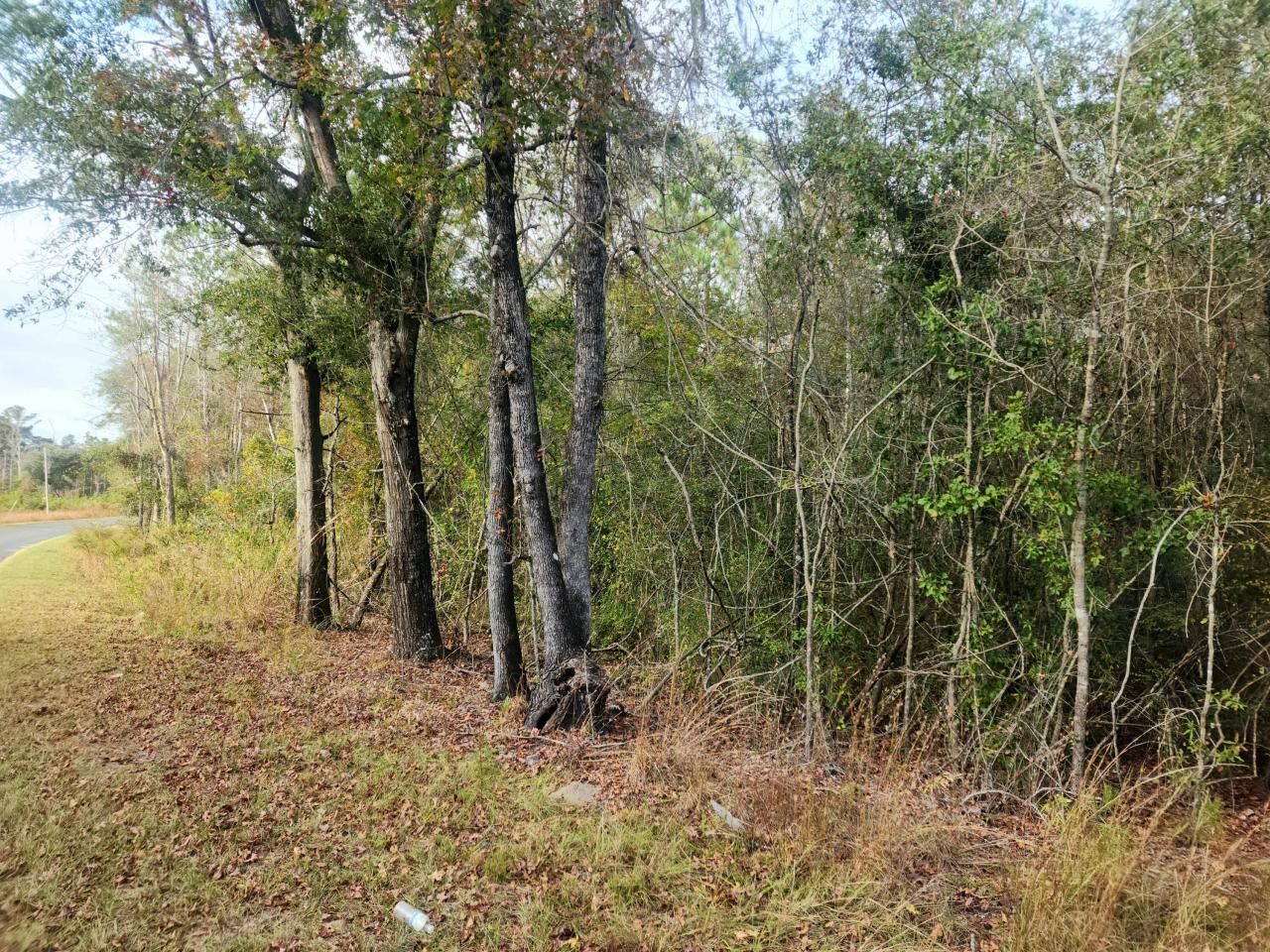 1 Dennis Britt Road Photo 4