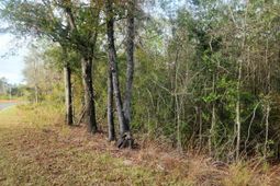 1 Dennis Britt Road photo 4