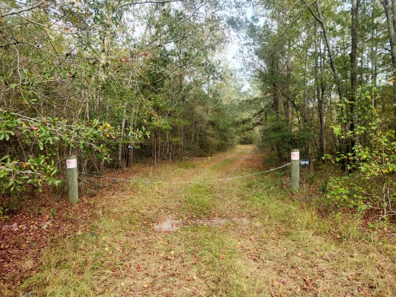 1 Dennis Britt Road Photo 6