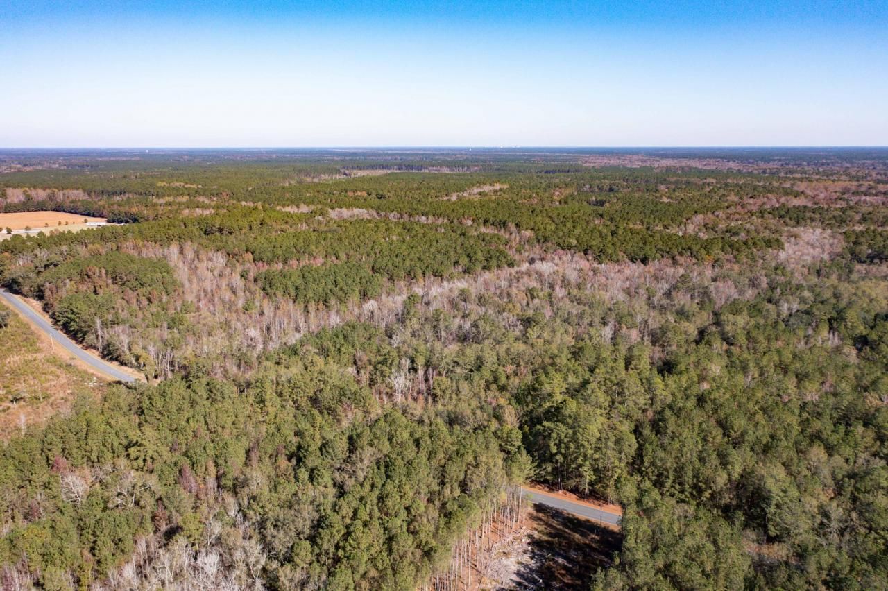 1 Dennis Britt Road Photo 9