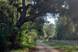 0 Placid Drive photo 4