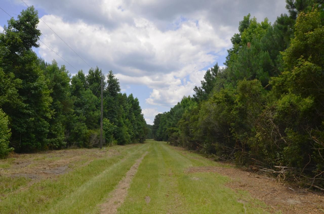 0 Placid Drive Photo 4