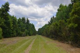 0 Placid Drive photo 4