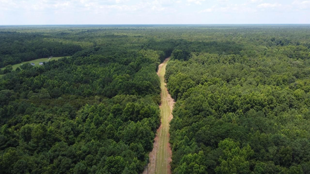 0 Placid Drive Photo 5