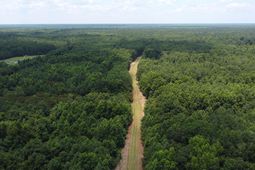 0 Placid Drive photo 4