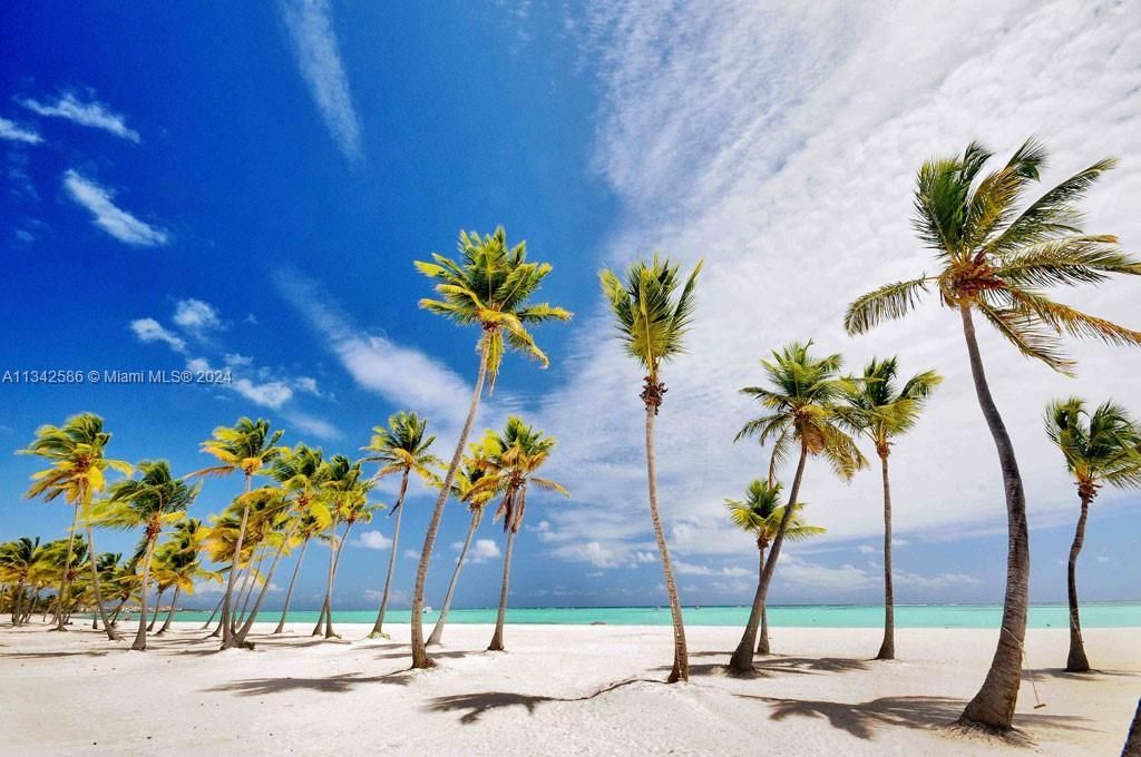 . Condominio Fundadores Marina Cap Cana, Unit Penthouse, , FL 00000 Photo