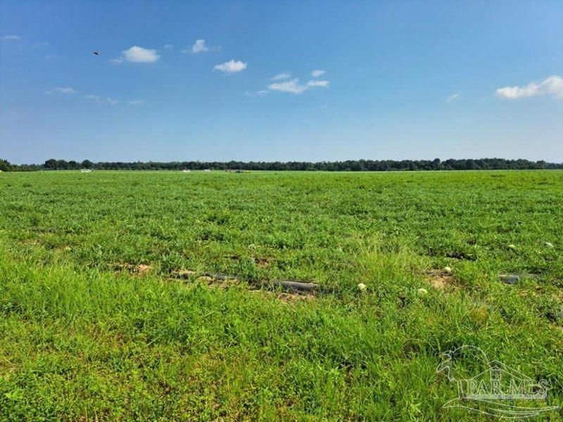 0 Jesse Allen Rd, Milton, FL 32570 Main Photo