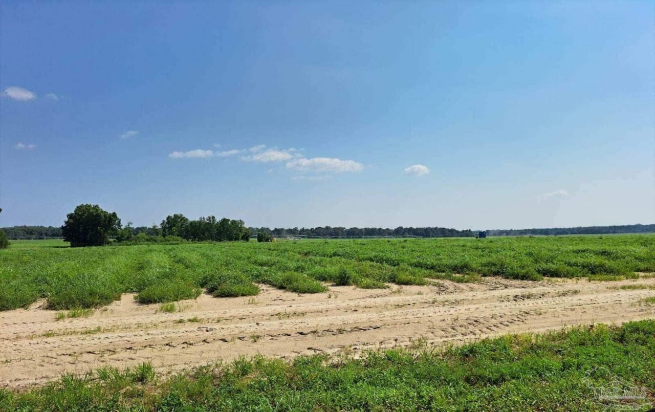 0 Jesse Allen Rd, Milton, FL 32570 Main Photo