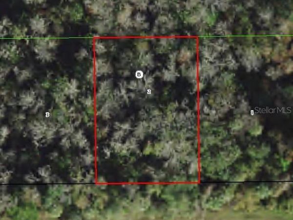 11139 W STATE PARK ST, CRYSTAL RIVER, FL 34428