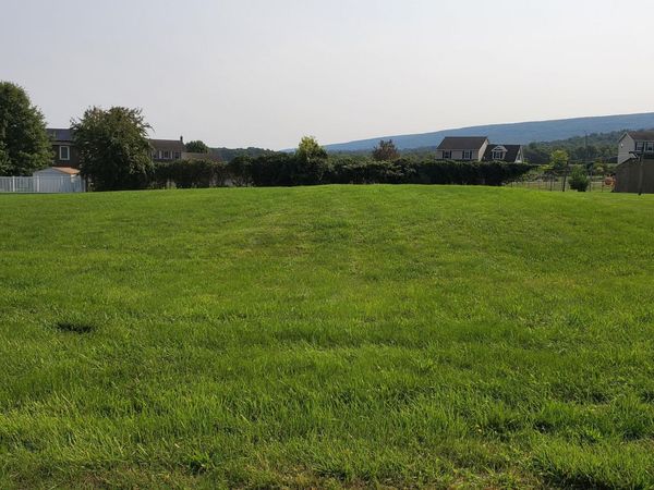 255 MIDDLESWARTH, LOT 31 Street, Beavertown, PA 17813