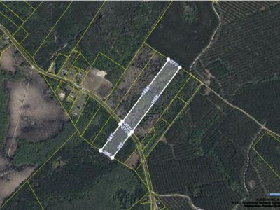 0 Nash Road, Ridgeville, SC 29472