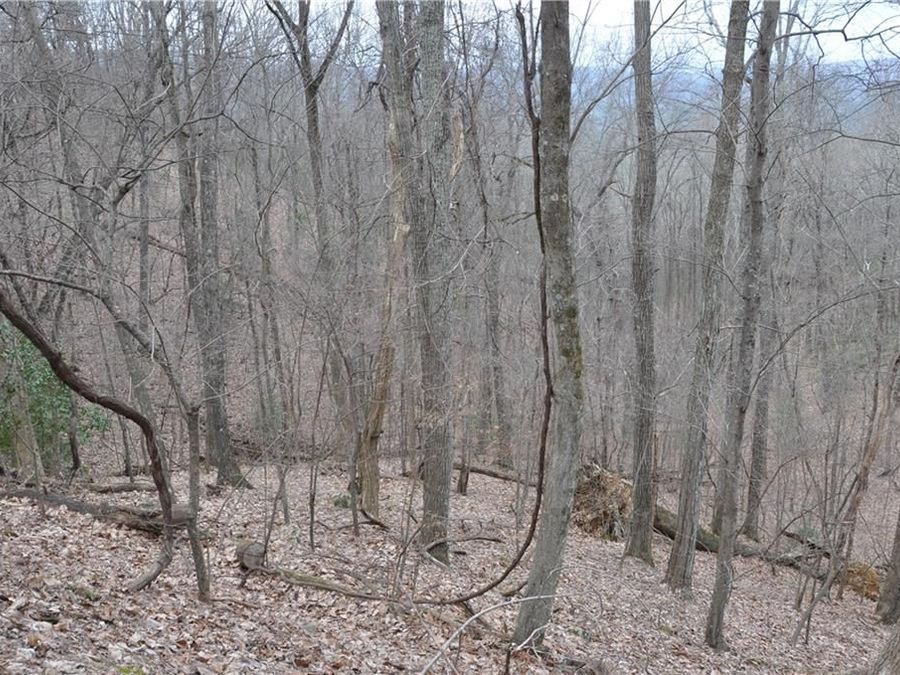 Property Image 8