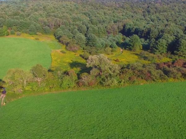 833 CTY 49, Edmeston, NY 13335