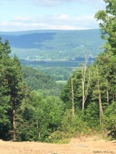 0 Huntersland Road, Middleburgh, NY 12122 Main Photo