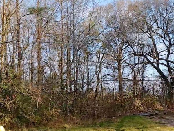 Lot 52-A&B El Scott Ave, Baton Rouge, LA 70811