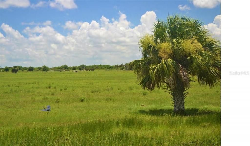 Schumann Road, Fort Pierce, FL 34945 Photo