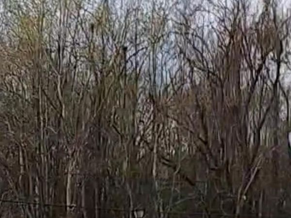 Lot 91 Rosario Dr, Baton Rouge, LA 70811