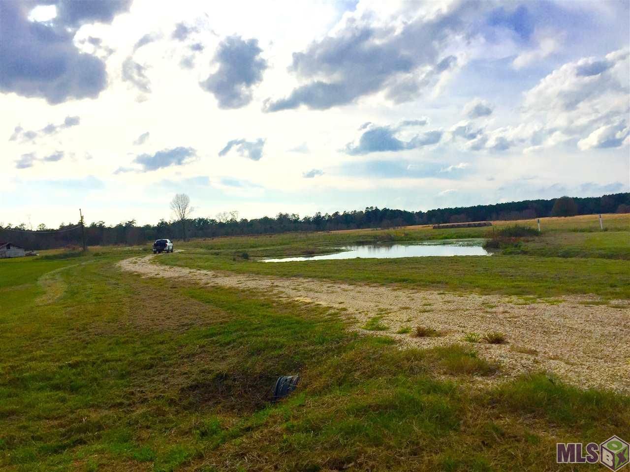 17530 Stoney Point Burch Rd, Pride, LA 70770 Main Photo