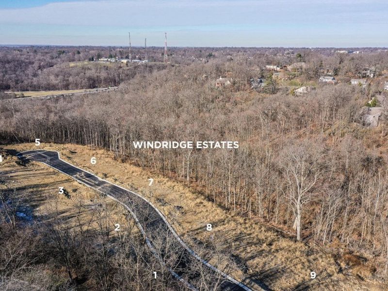 5801 Hickory Court, Unit 1, Madeira, OH 45243 Photo 8