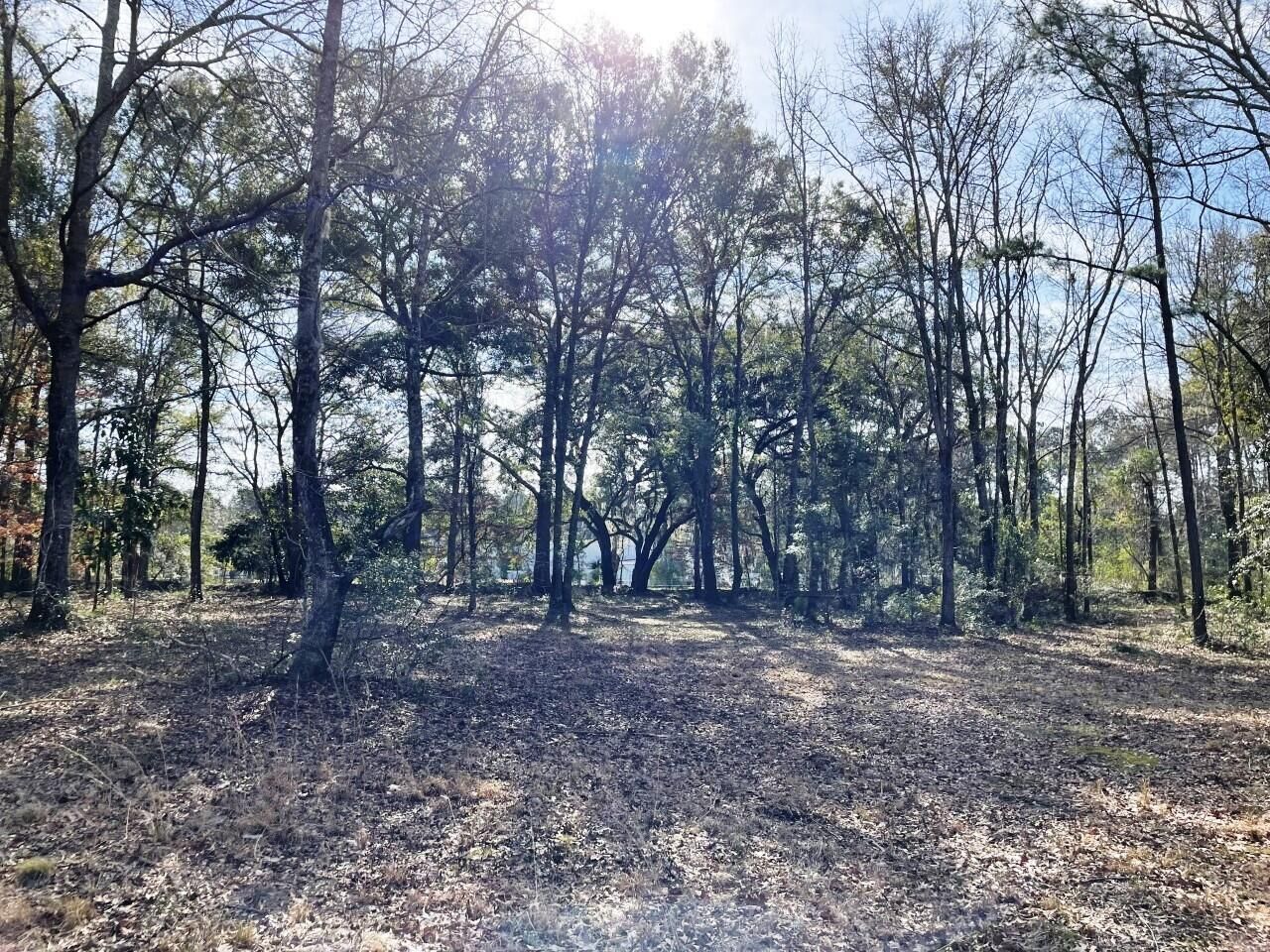 2043 Bohicket Road Photo 10