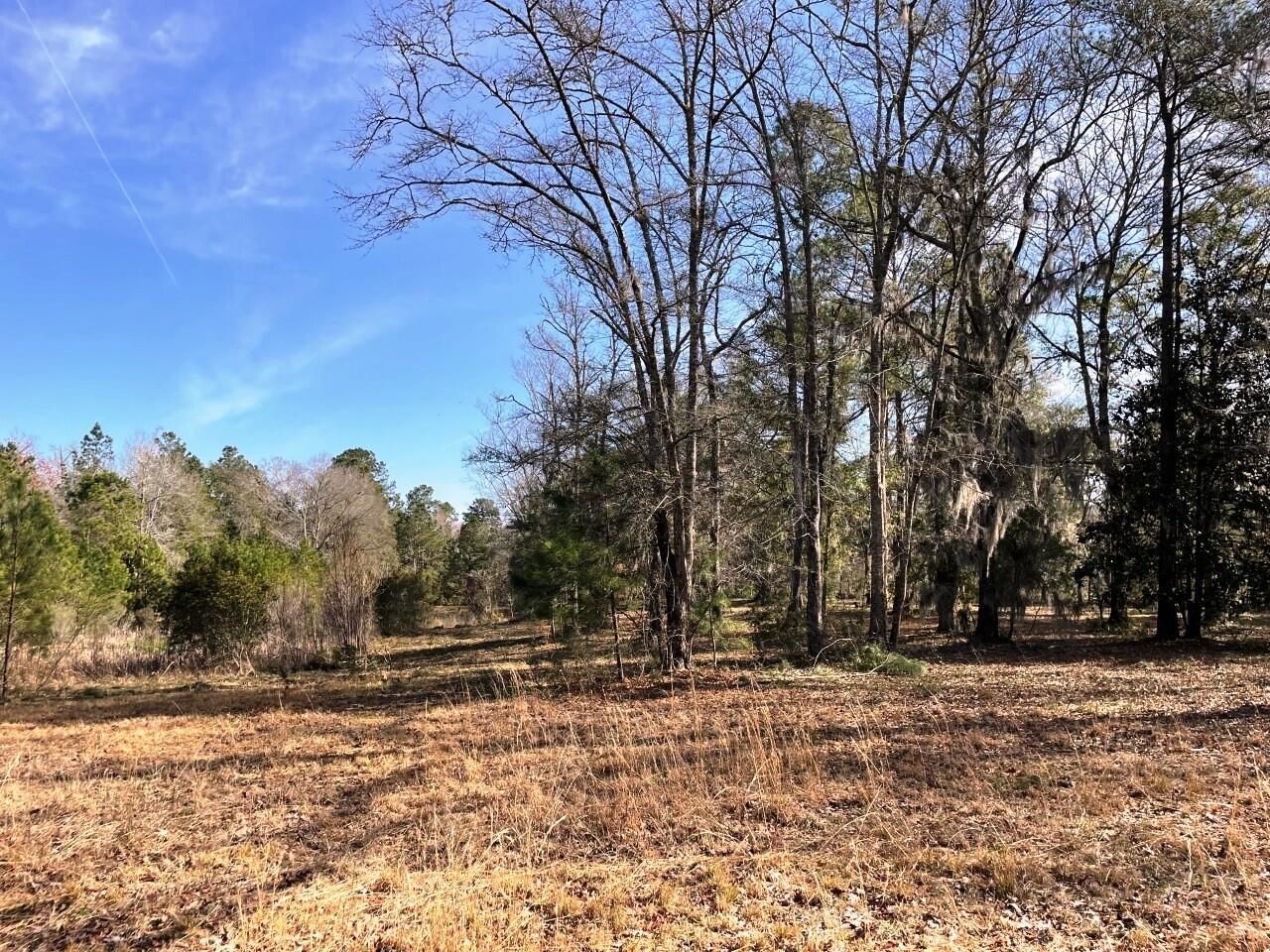 2043 Bohicket Road Photo 14